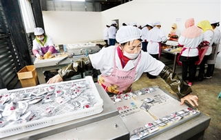 宜宾六大基地 产业引擎擎动经济高质量发展